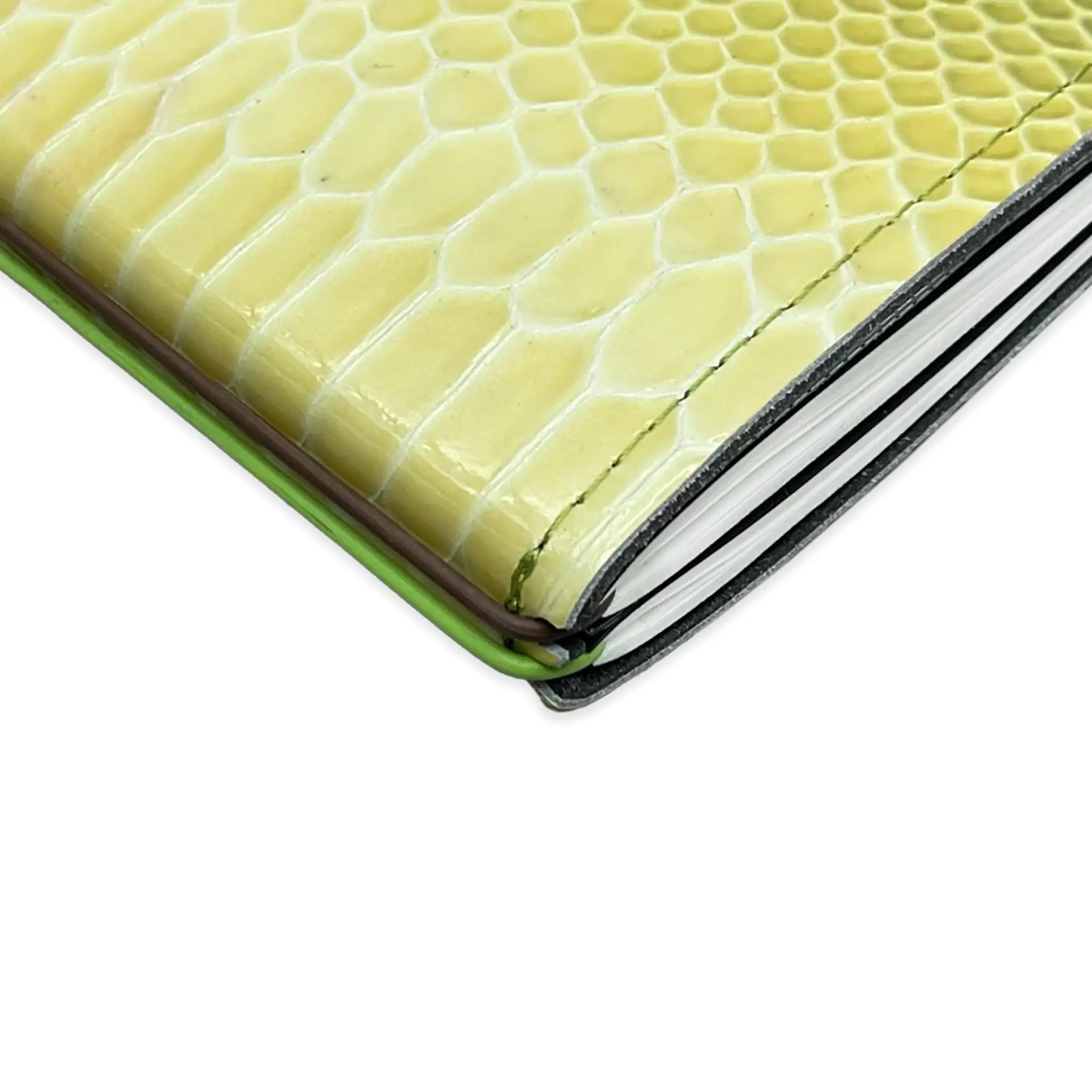 A6 Notebooks *LIMITED EDITION*